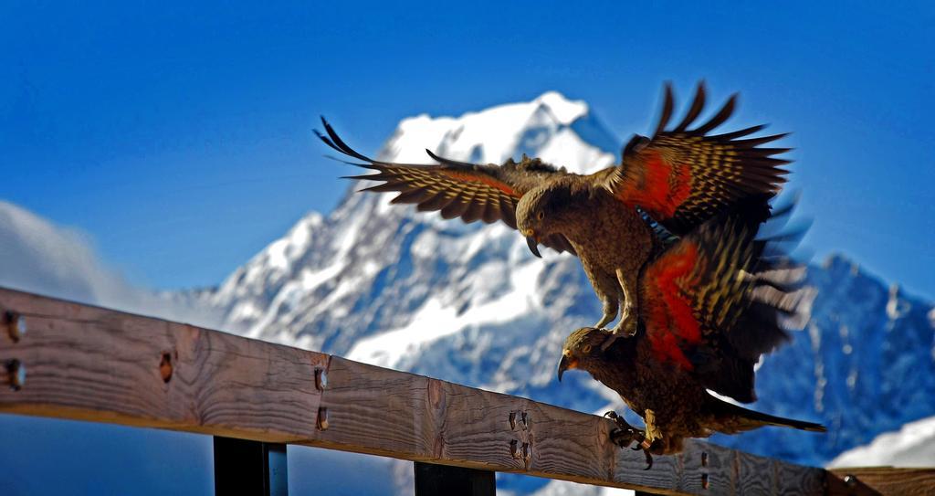 ホテル グレンタナー パーク センター Aoraki / Mount Cook エクステリア 写真